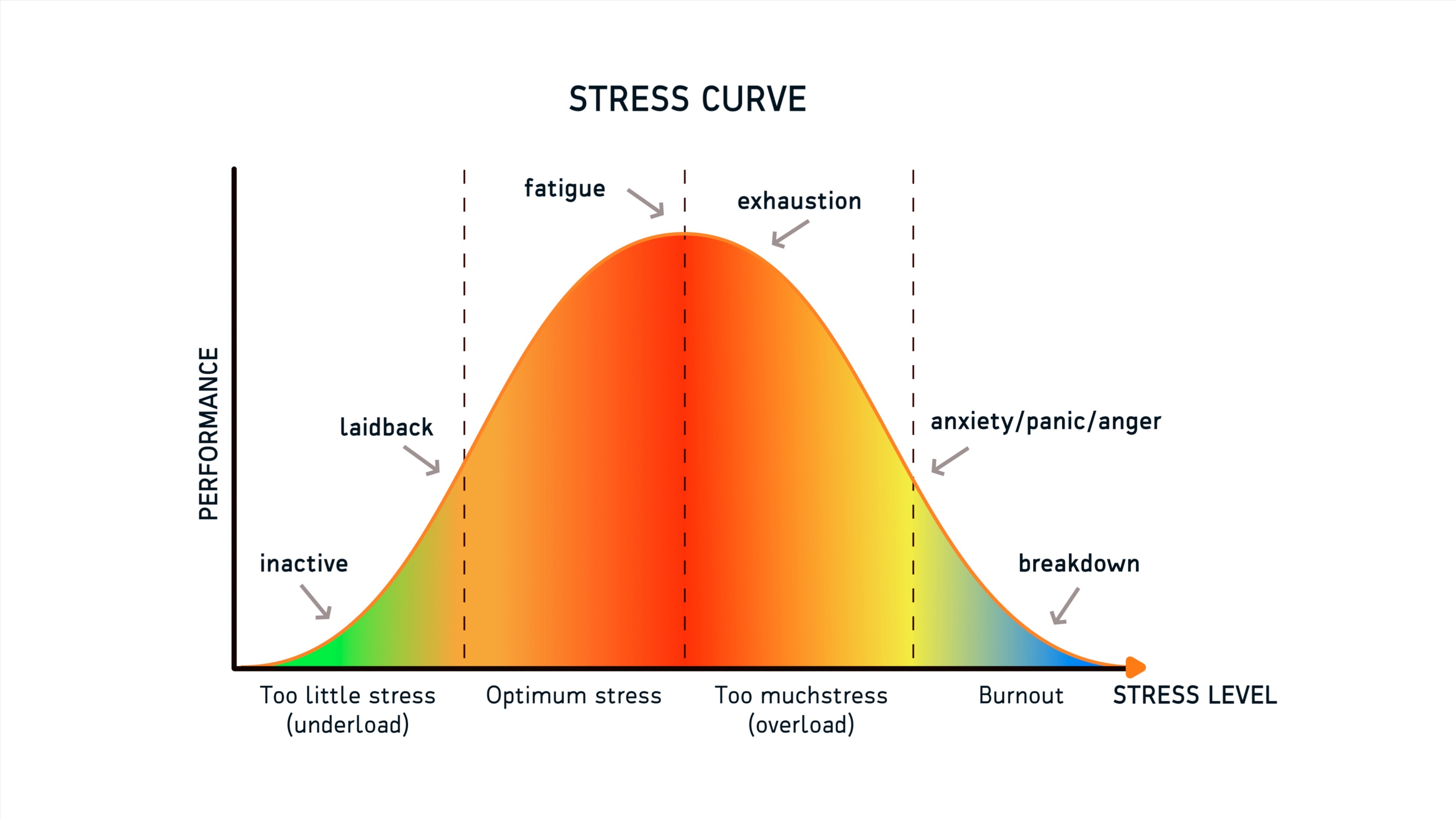 Hình ảnh về Yerkes-Dodson law graph